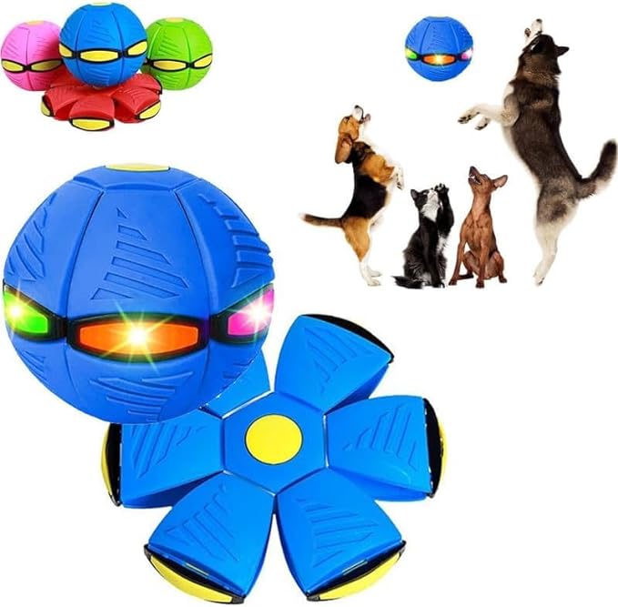 UFO Bounce for Dogs