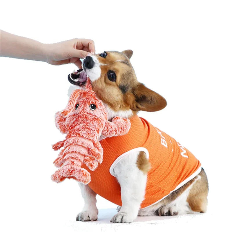 Lobster Interactive Dog Toy