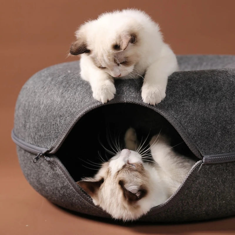 Hide-and-Seek Cat Tunnel Bed