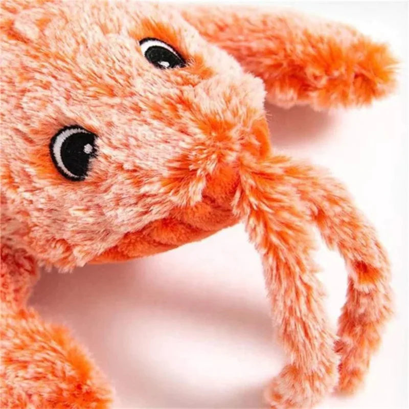 Lobster Interactive Dog Toy