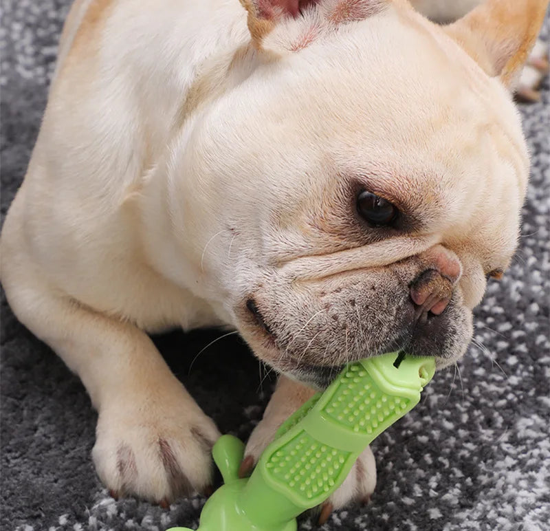 Silicone Dog Tooth Brush